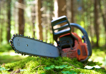 Noch wenige Pl&auml;tze frei. Motors&auml;genkurs am 30. und 31. Januar 2026