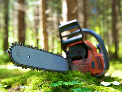 Inventore voluptates velit totam ipsa tenetur