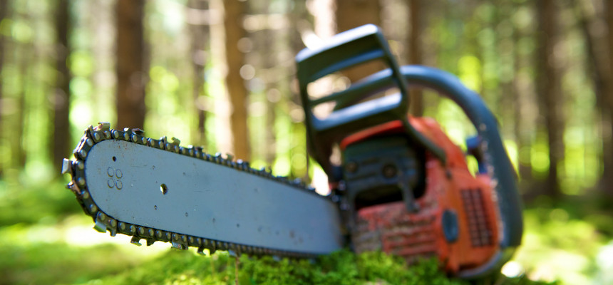 Standard Post with Image