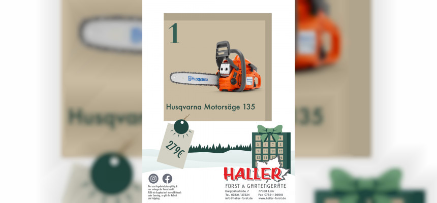 Standard Post with Image