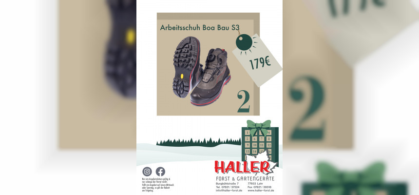 Standard Post with Image