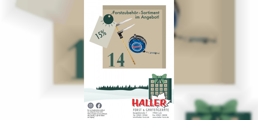 Standard Post with Image