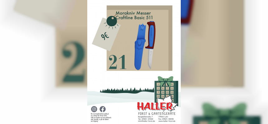 Standard Post with Image