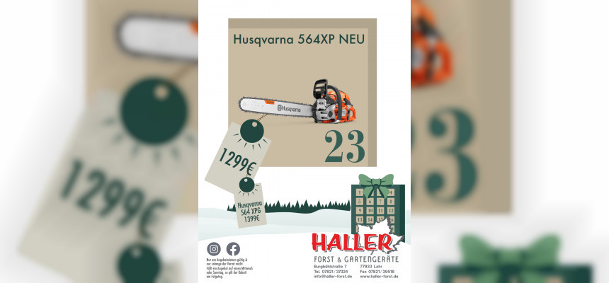 Standard Post with Image