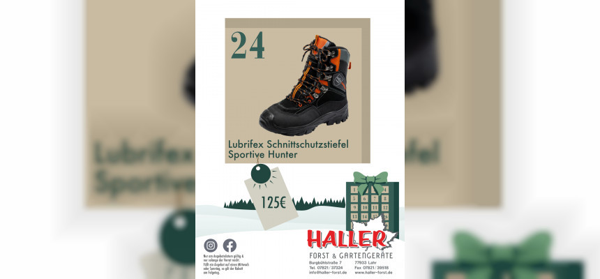 Standard Post with Image