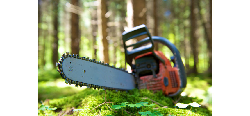 Standard Post with Image