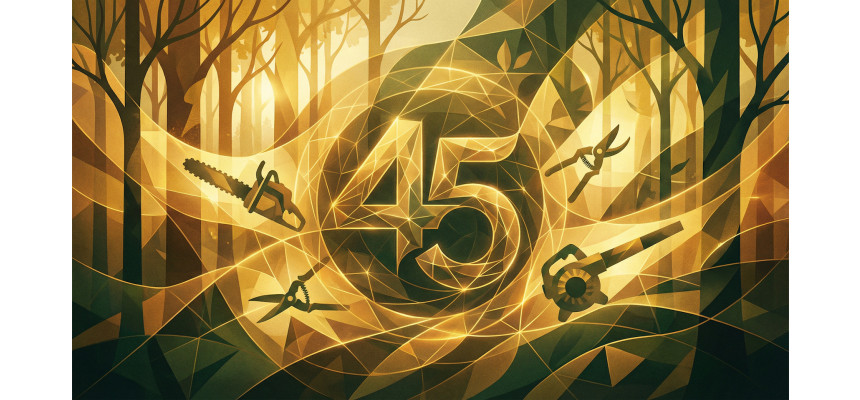 Standard Post with Image